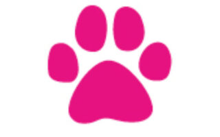 paw print logo in pink