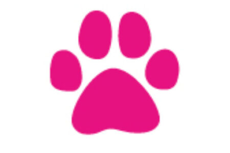 paw print logo in pink